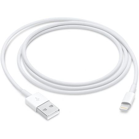 Cable de Carga Apple MD819ZM MD819ZM/AAPPLE